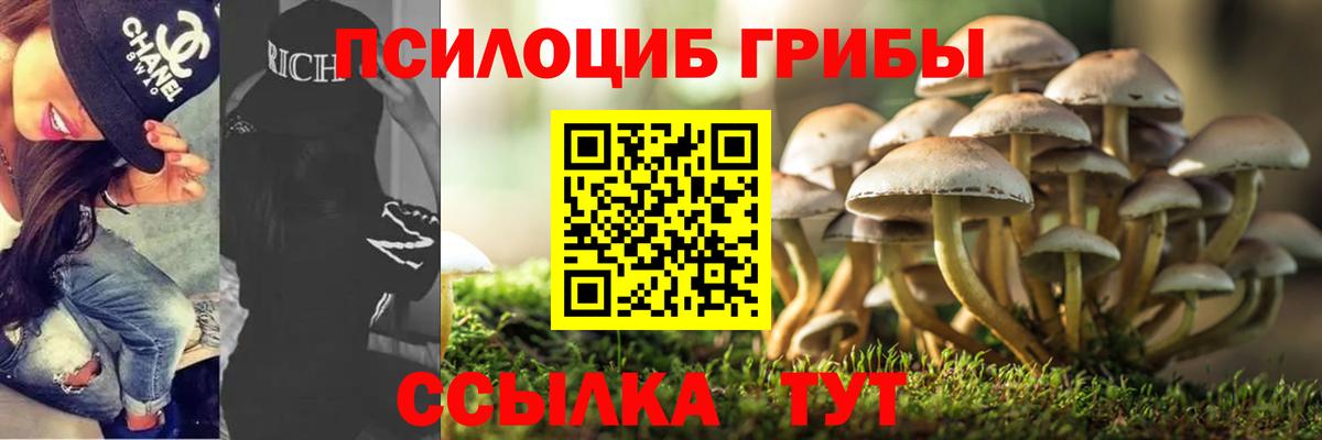 Псилоцибиновые грибы мухоморы Саратов