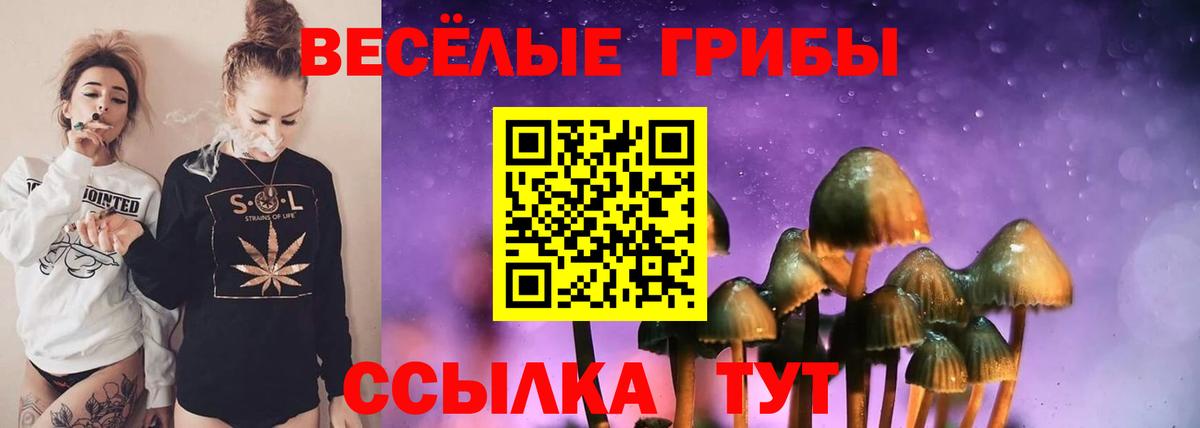 Саратов  Галлюциногенные грибы ЛСД  цена   Вход с VPN 